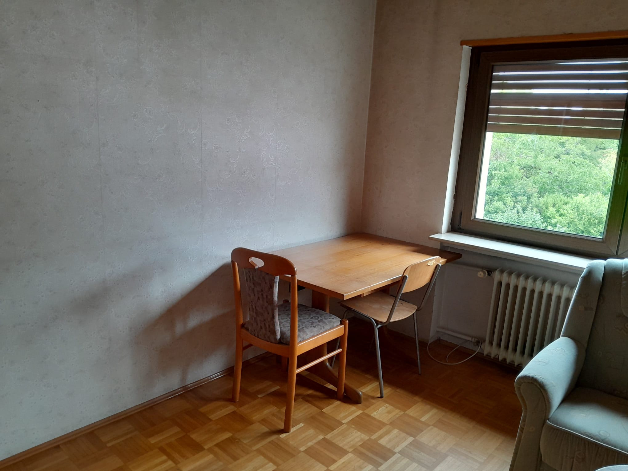 Dining and living area